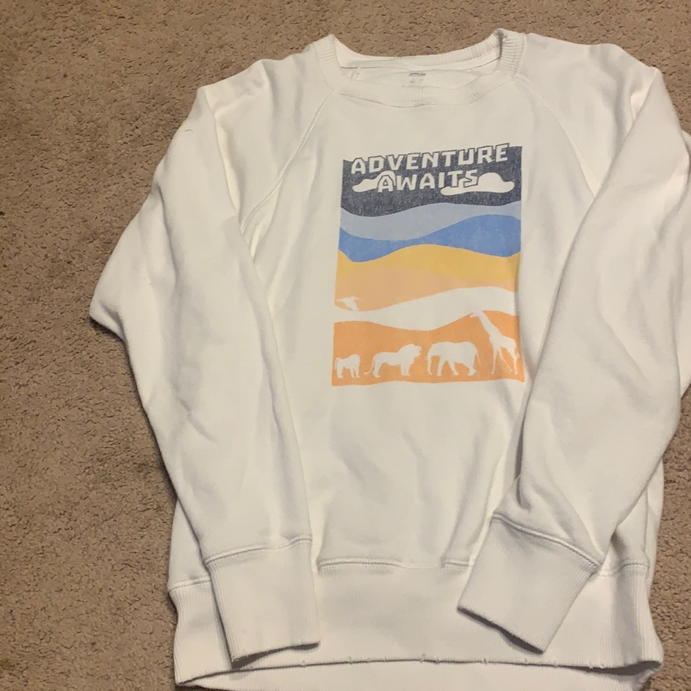Aerie crew neck